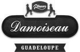 logo Damoiseau